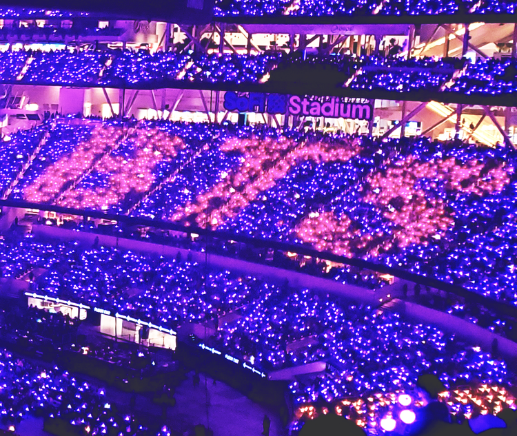 The High Price of Access: Disabled Fans' Challenges and the Power of Concert Community